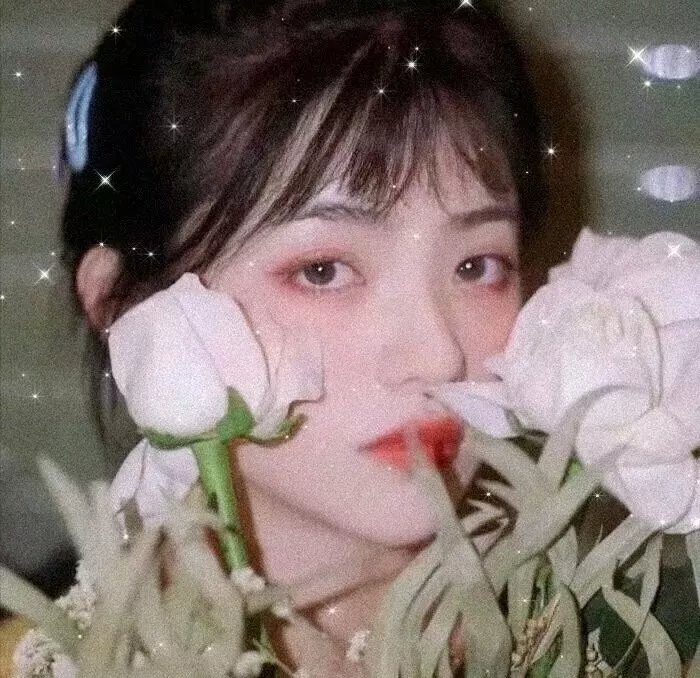 睡莲